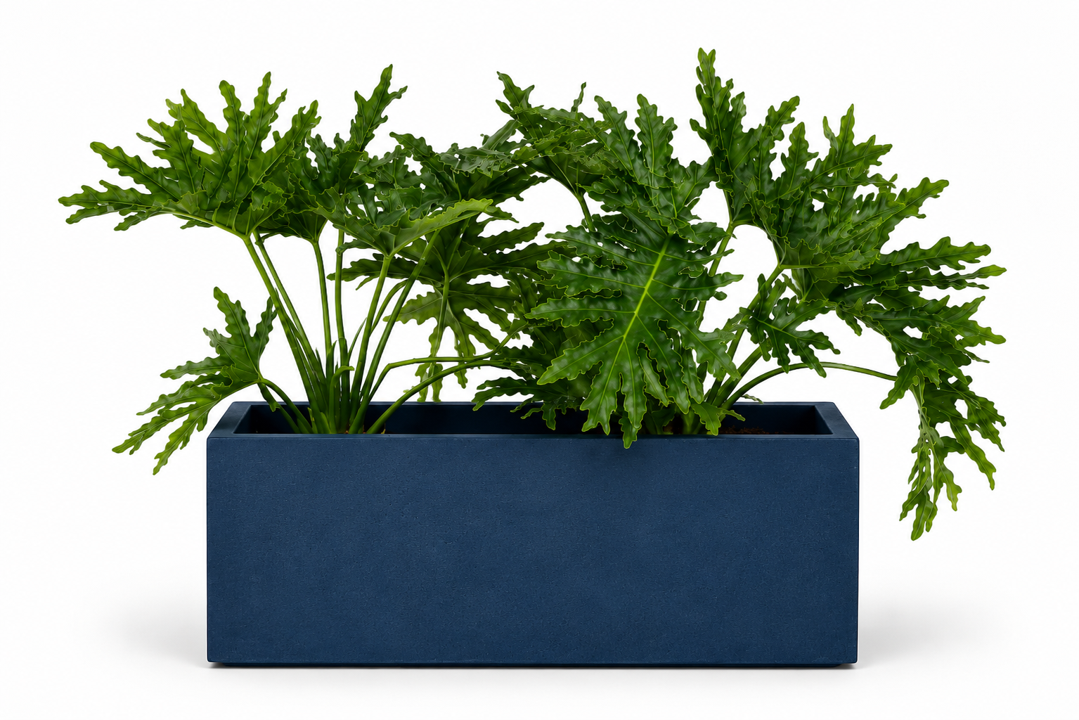 Jardinière Rectangle — Bleu Atlas