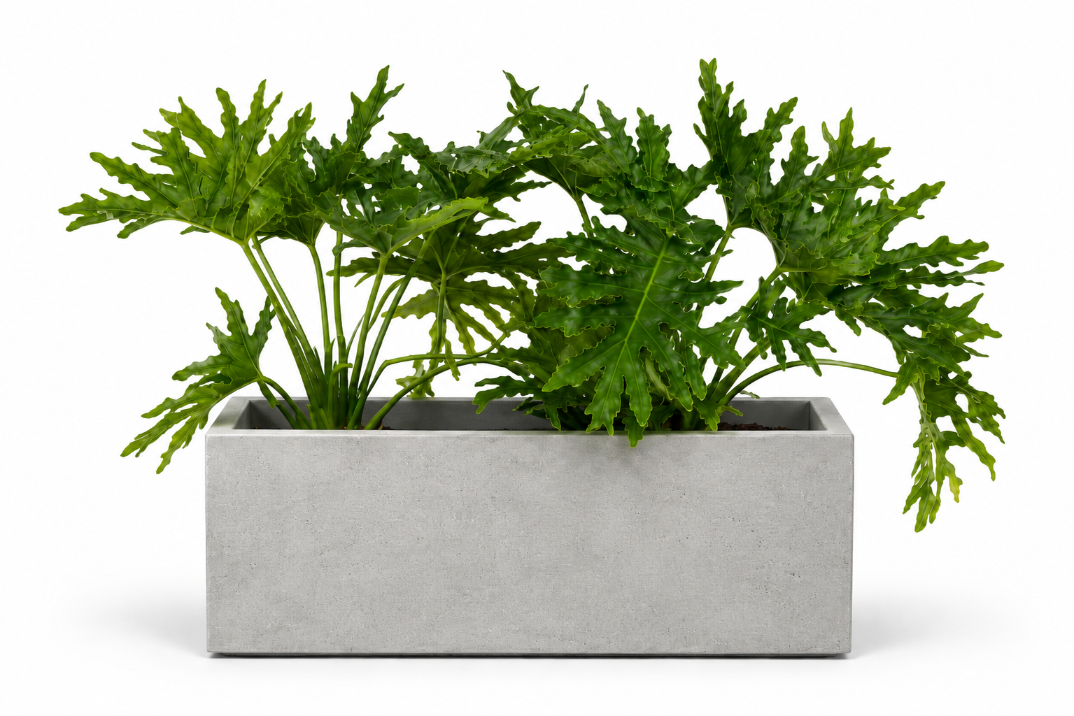 Jardinière Rectangle — Gris Ciment