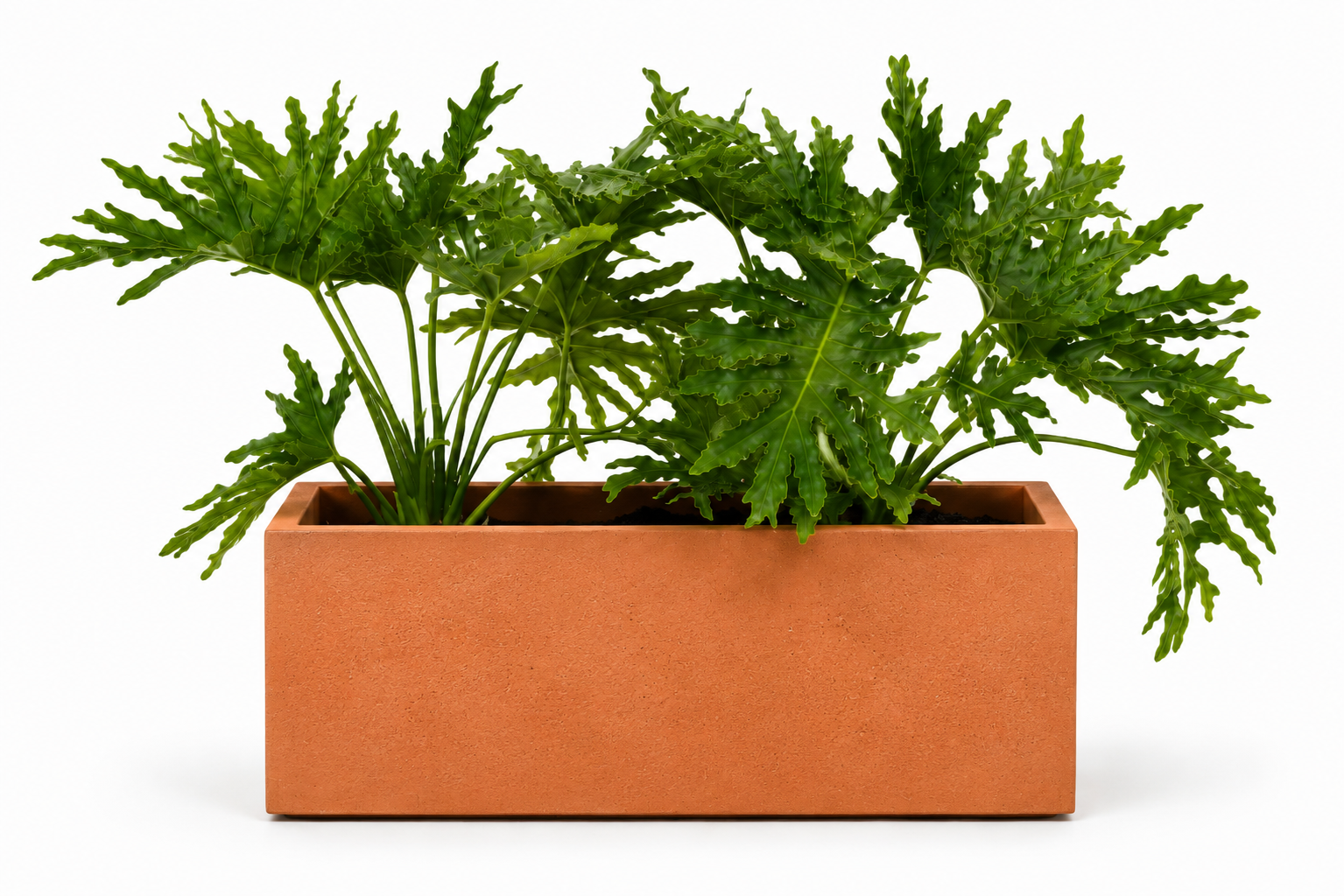 Jardinière Rectangle — Terracotta