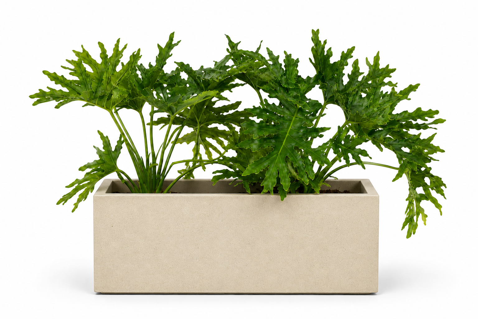 Jardinière Rectangle — Sable