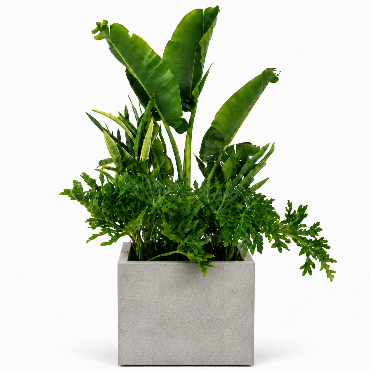 Jardinière Carrée — Gris Ciment
