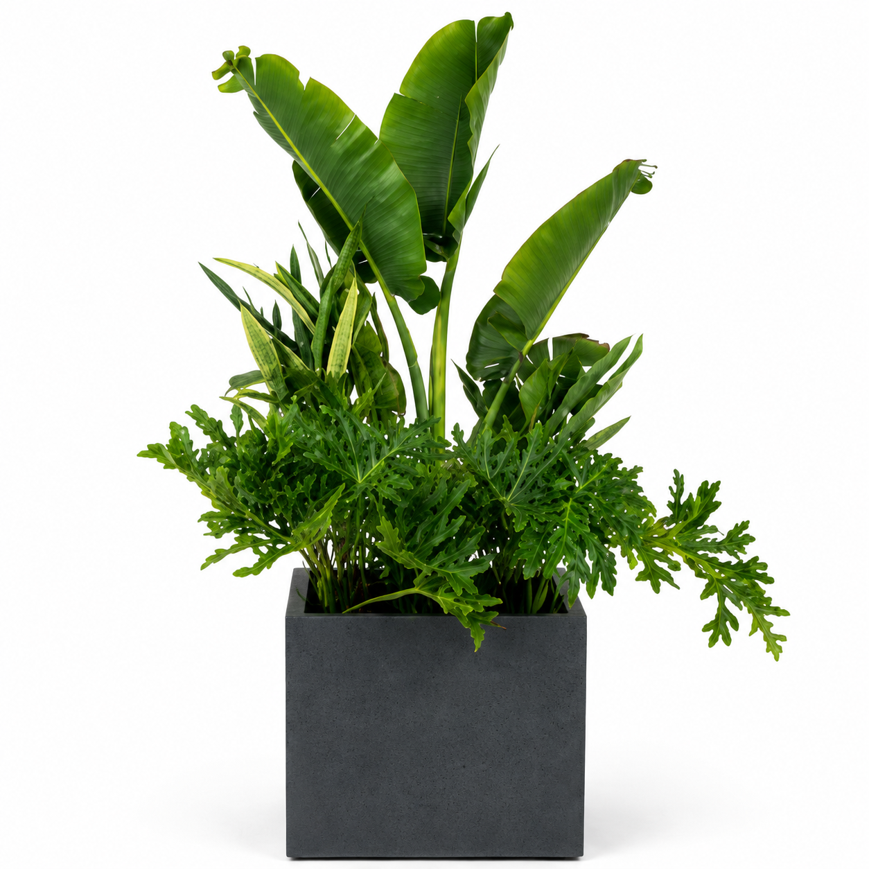 Jardinière Carrée — Anthracite